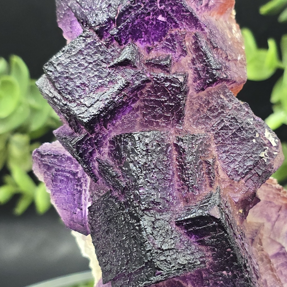 Fluorite from El Filo Mine Durango Mexico - Picture 3 of 7